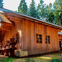 Waldglashütte (2)